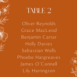 Toasted Amber wedding seating plan cards with burnt orange background and white botanical line art
